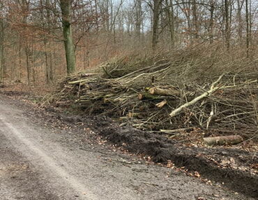 Waldwegeunterhaltung im Gemeindewald Ilsfeld Einzelne Arbeitsschritte
