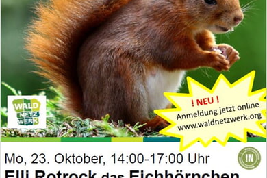Elli Rotrock das Eichhörnchen