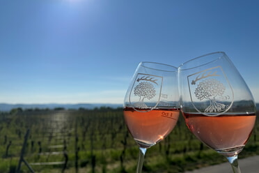 Wein-Ausschankhütte