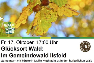Glücksort Wald "Abendspaziergang in der Natur"