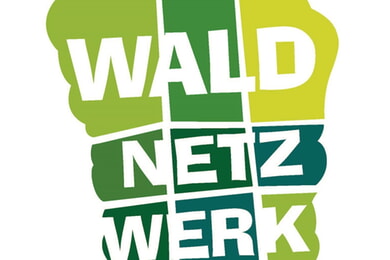 Waldblick - ein spannender Vergleich!