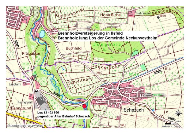 Brennholz lang Neckarwestheim 2019