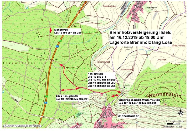 Brennholz lang Plattenwald Ilsfeld 2019