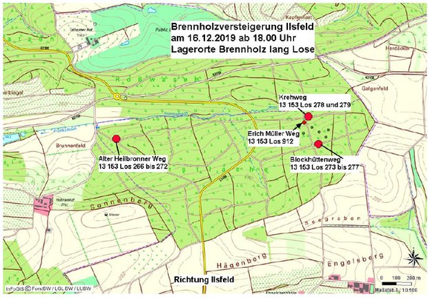 Brennholz lang Durstlich Ilsfeld 2019