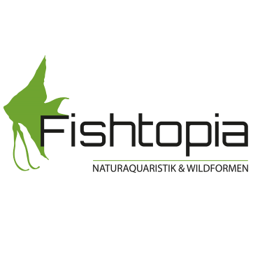 Logo der Firma