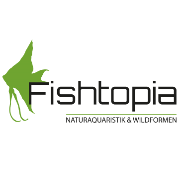 Logo der Firma 