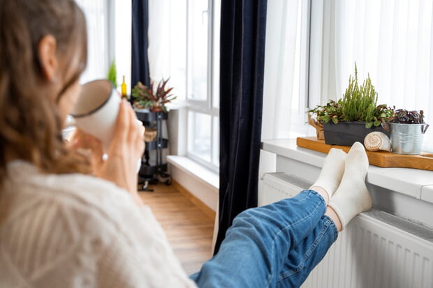 Besser als TV: Online-Vorträge der LEA zu den Energie-wendetagen 2023