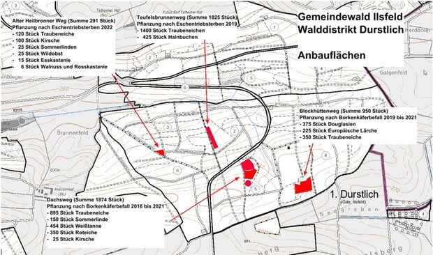 Walddistrikt Durstlich