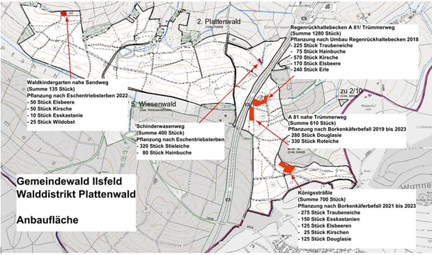 Walddistrikt Plattenwald