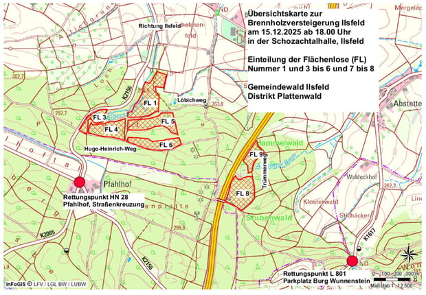 Gemeindewald Ilsfeld Plattenwald Fl&auml;chenlose 1 und 3 - 6 und 7 - 8