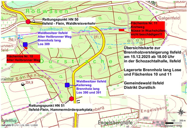 Gemeindewald Ilsfeld Durstlich Brennholz lang Lose und Fl&auml;chenlose 10 und 11