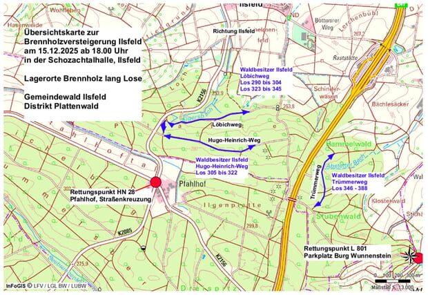 Gemeinde Ilsfeld Plattenwald Brennholz lang lose